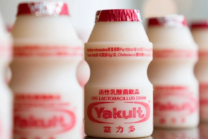 Manis dan Segar, Ini Resep Minuman Yakult Kekinian!